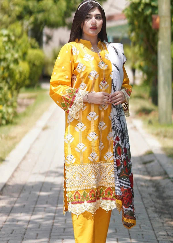 COCO Embroidered 3 pc set (with Chiffon dupatta)
