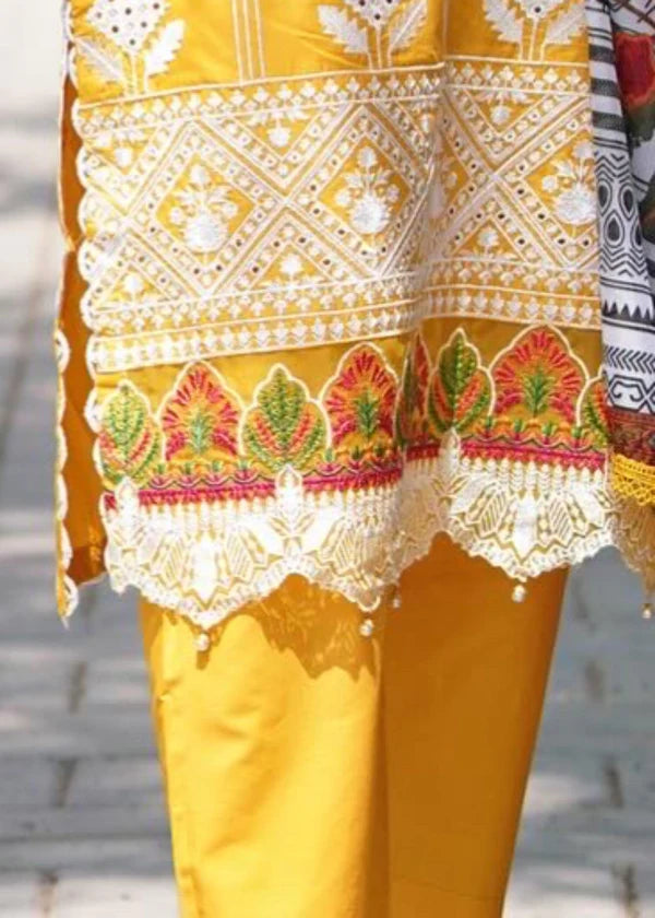 COCO Embroidered 3 pc set (with Chiffon dupatta)