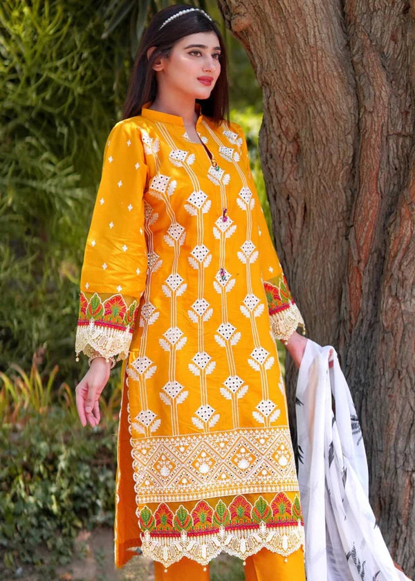 COCO Embroidered 3 pc set (with Chiffon dupatta)