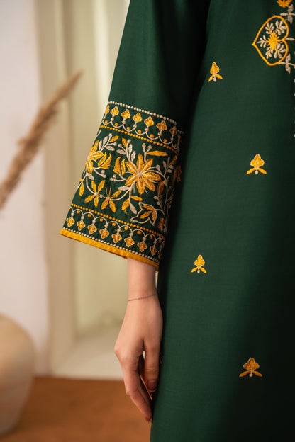 GLAMOUR GRACE embroidered 2 pc