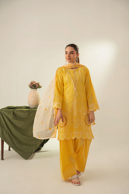 SORAYA Embroidered 3 pc