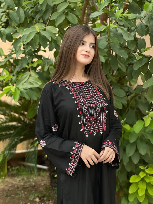 SINDHI EMB Embroidered Co Ords set