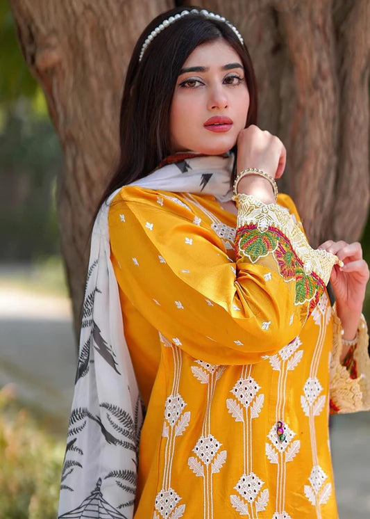 COCO Embroidered 3 pc set (with Chiffon dupatta)