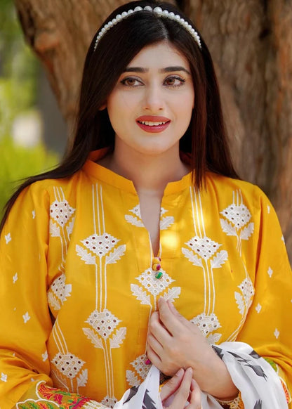 COCO Embroidered 3 pc set (with Chiffon dupatta)